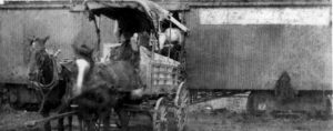 brooks6_horsecarriage